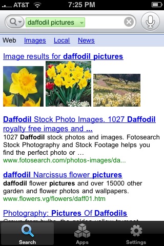 Daffodil pictures