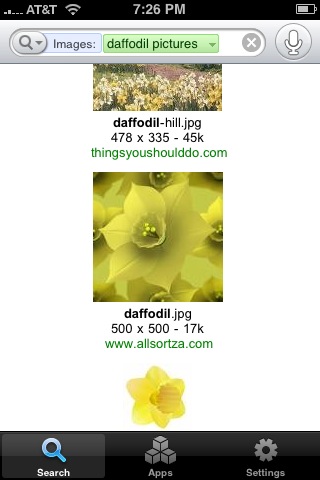 Daffodil pictures